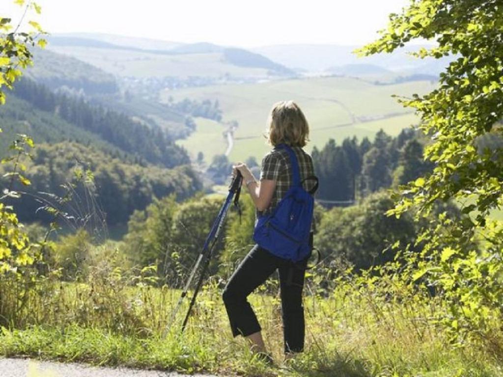 Typ Fuchsbau Hotel Schmallenberg Luaran gambar
